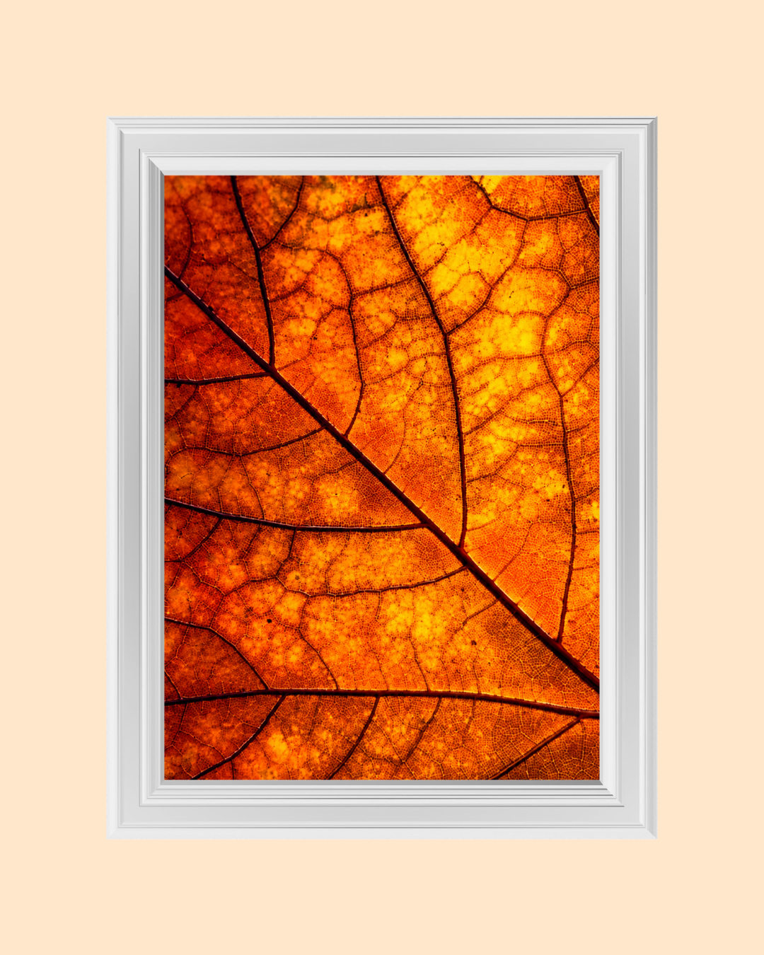 Autumn Leaf Macro art print