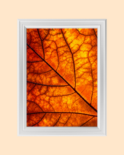 Autumn Leaf Macro art print