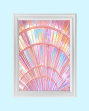 Aurora Shell art print