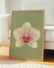 Spotted Yellow Orchid art print