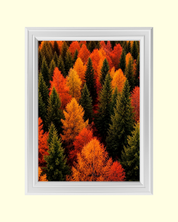Autumn Forest art print