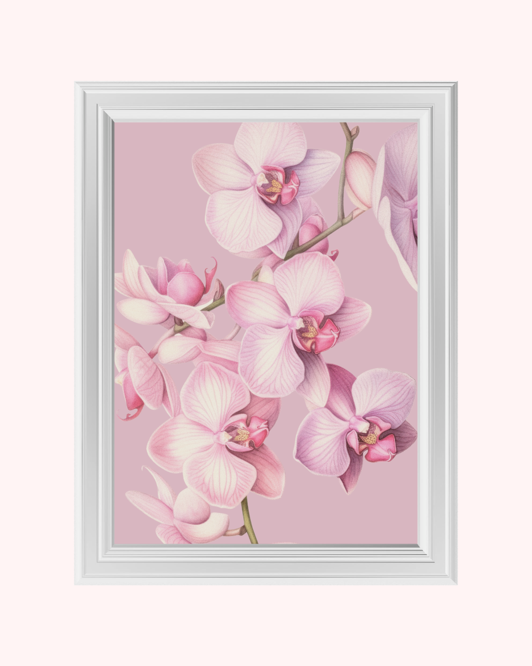 ORCHIDS art print