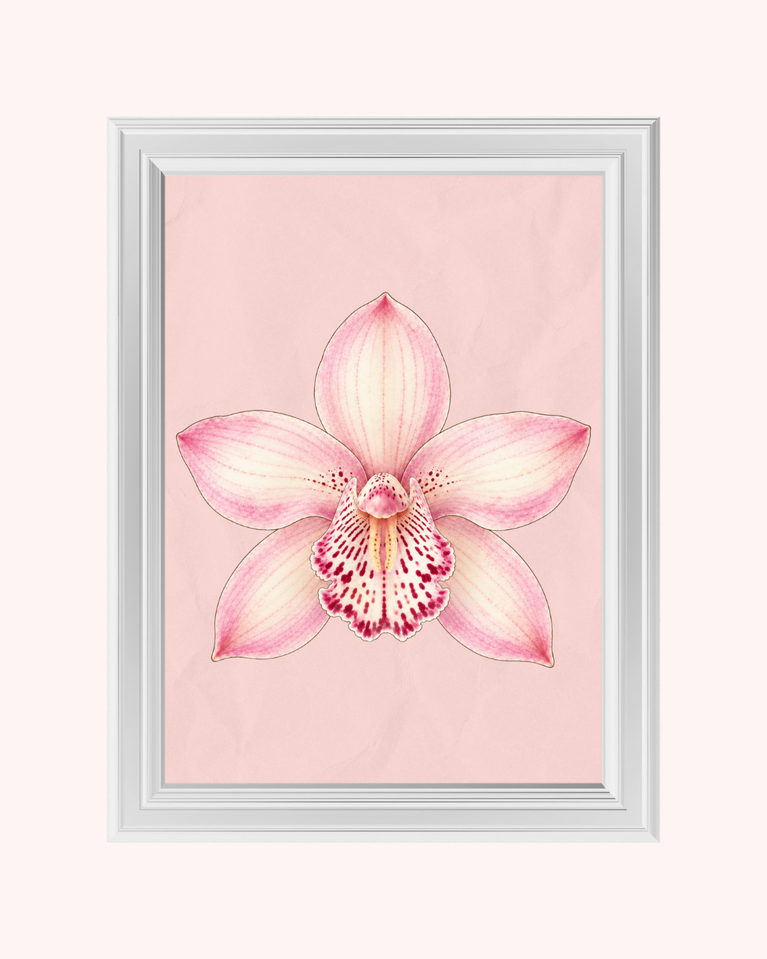 Pink Orchid art print