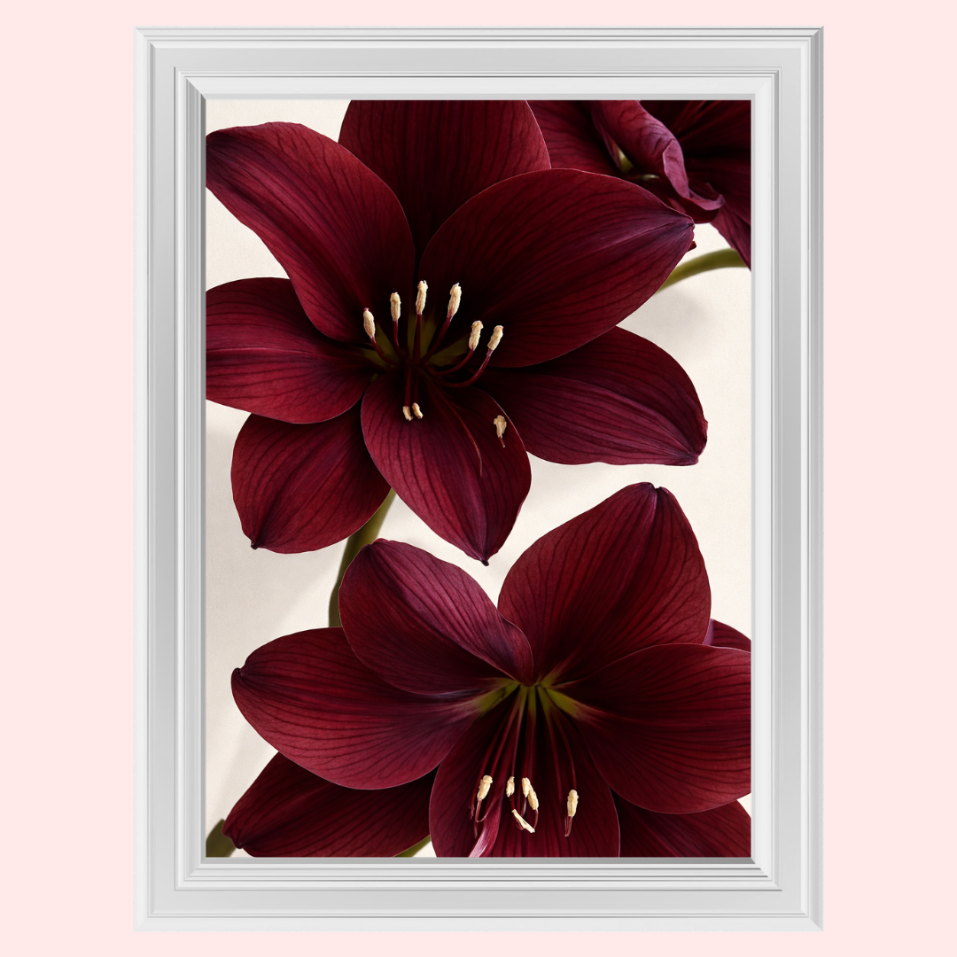 91_b1dccd8b-3a32-4e68-bf46-3d67176a6161.png