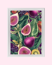 FIGS art print