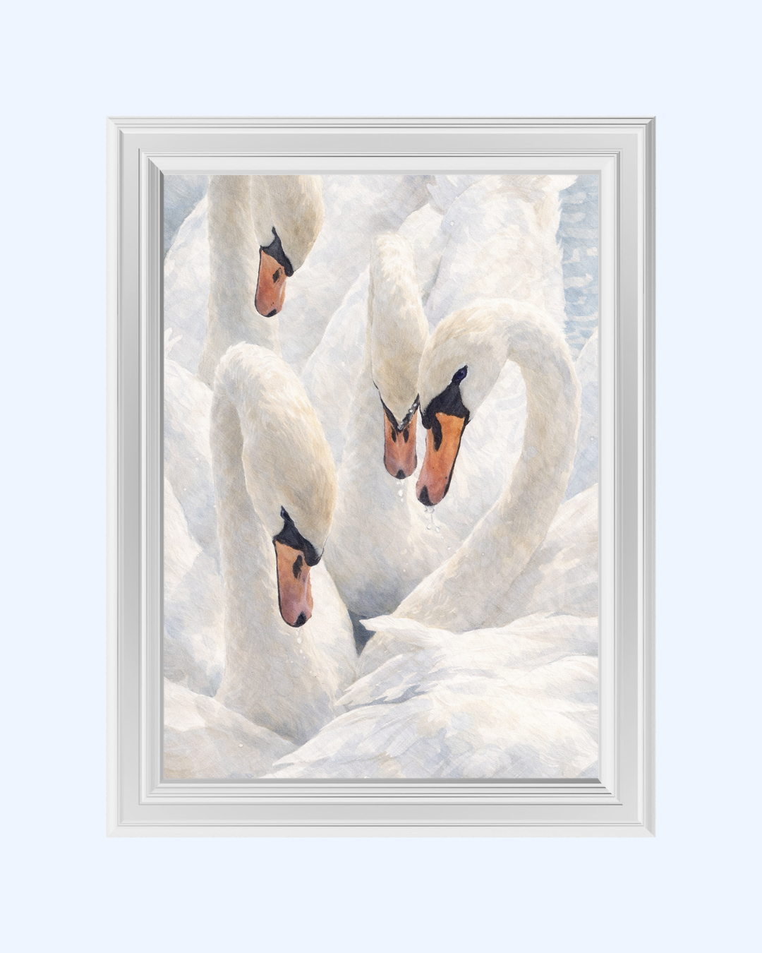 WHITE SWANS art print
