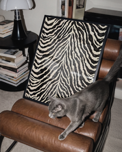ZEBRA PRINT art print