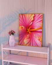 Sunset Hibiscus art print