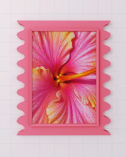 Sunset Hibiscus art print